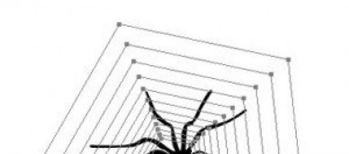 Черный паук сонник значение